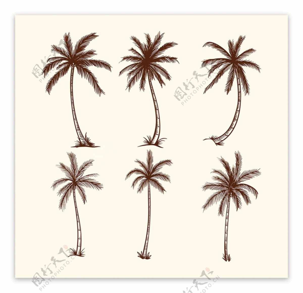 手绘素描椰子树