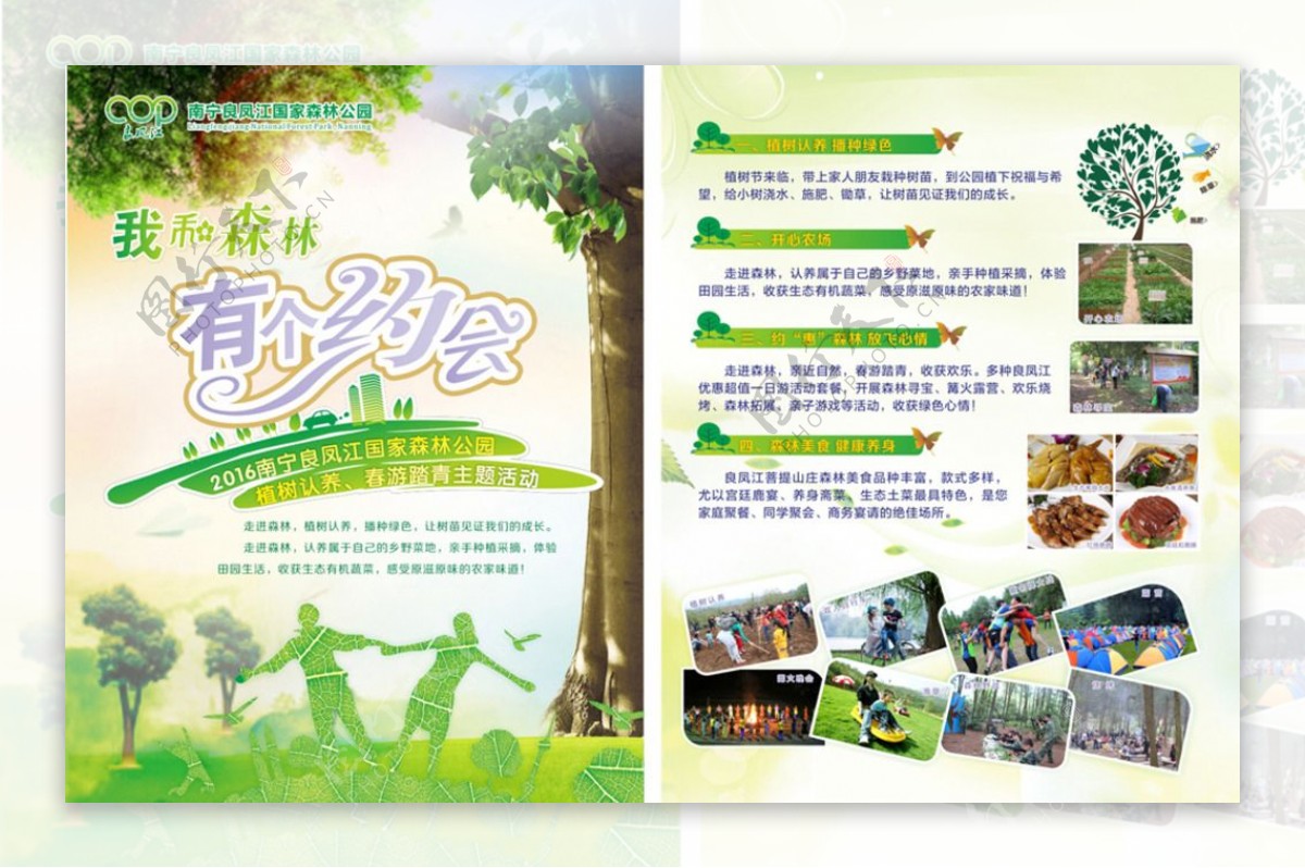 森林旅游宣传单
