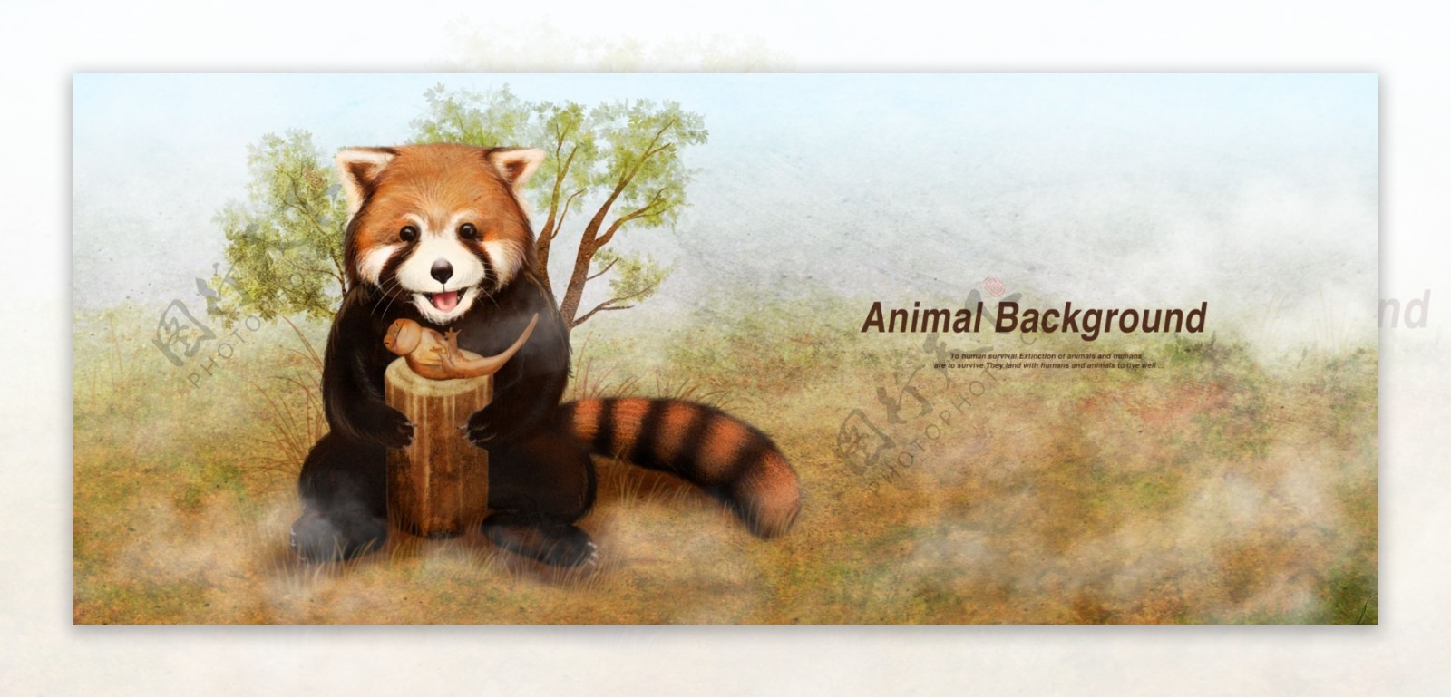 小熊猫动物海报背景