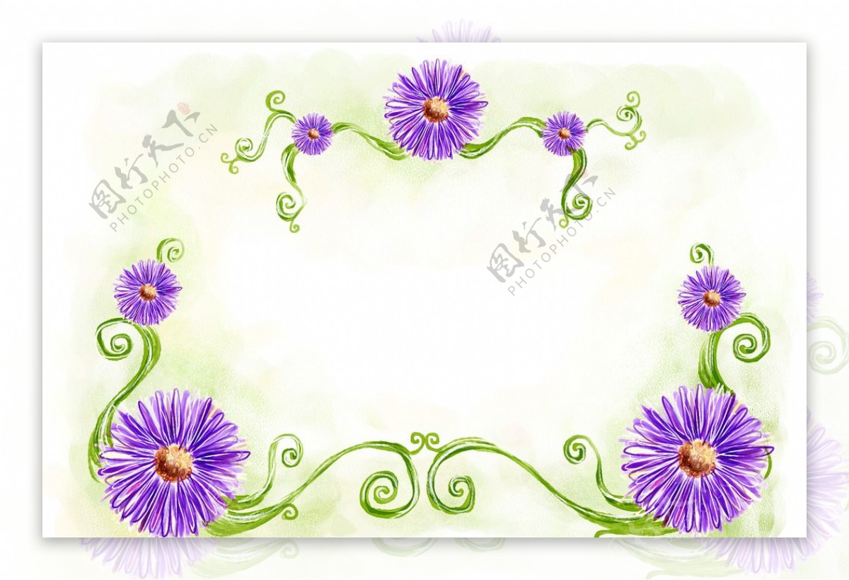 紫色菊花藤蔓边框背景
