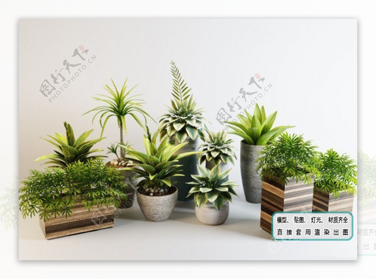 植物墙现代室内植物盆栽集