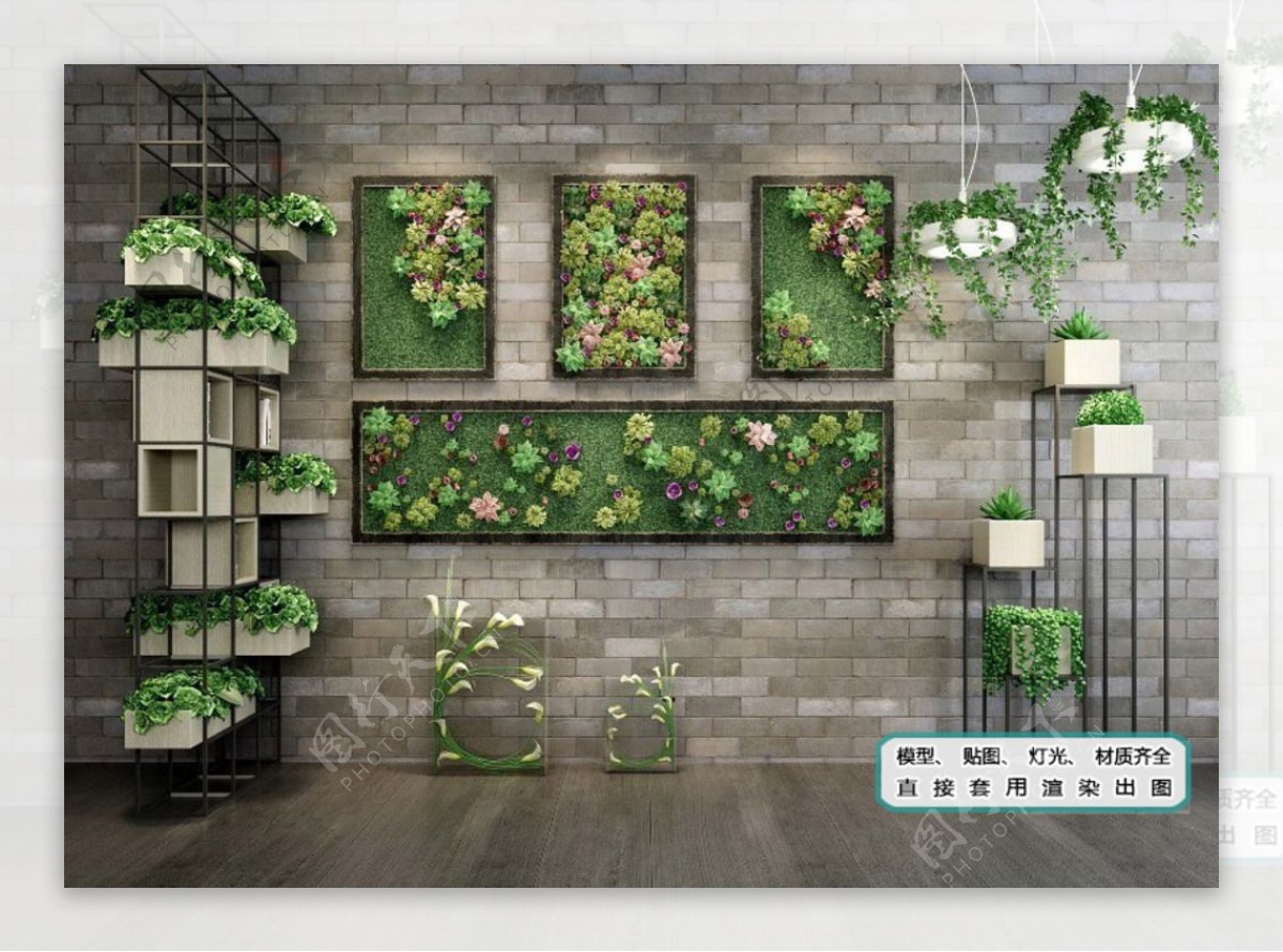 植物墙超精细植物生态