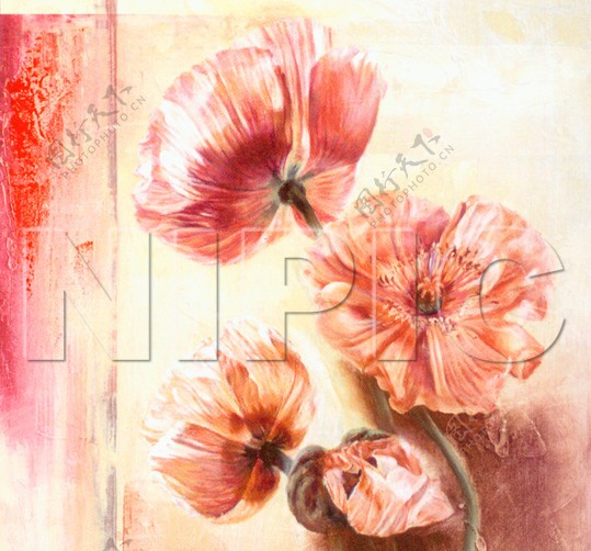 花卉油画60厘米X60厘米