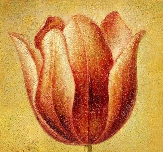 花卉油画551450厘米X50厘米