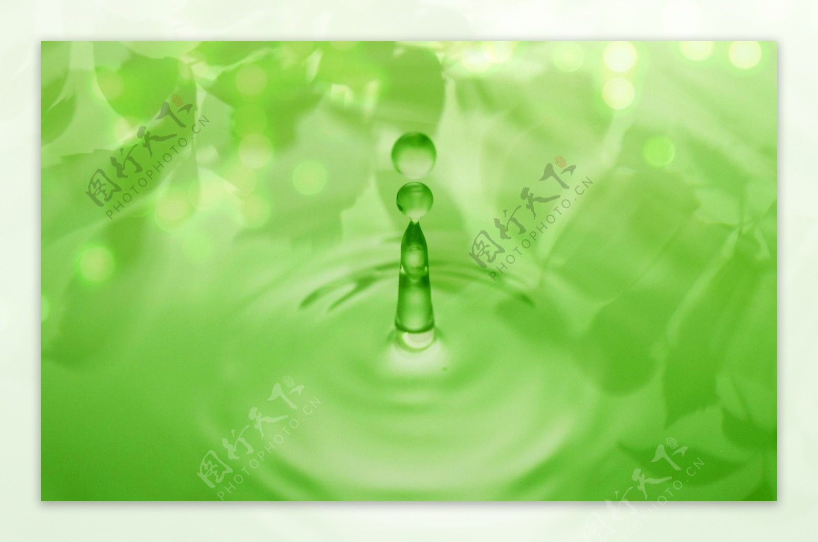 绿色水源