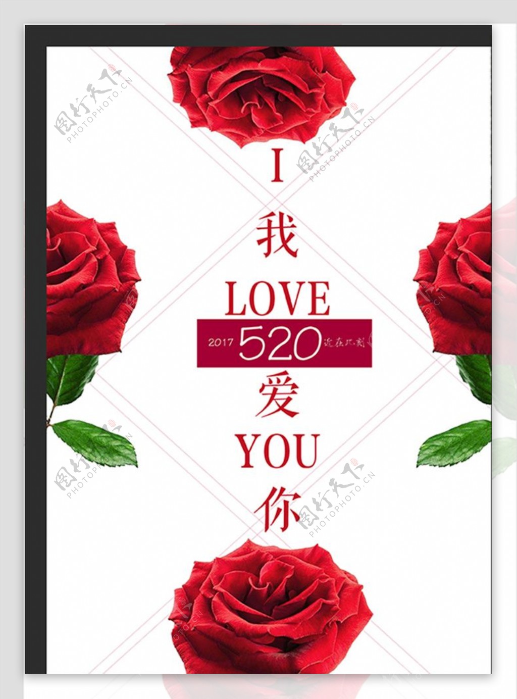 520情人节玫瑰花