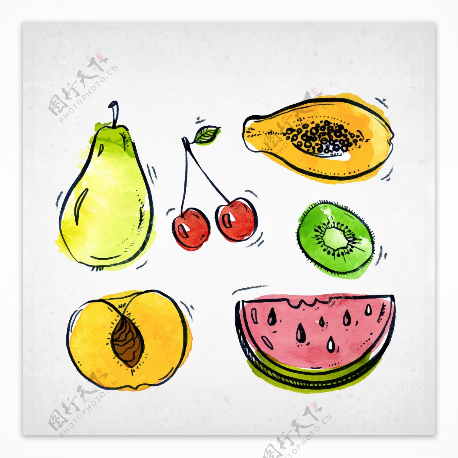 手绘美味水果插图