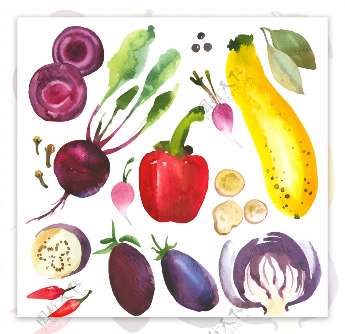 水彩蔬菜水果食品矢量