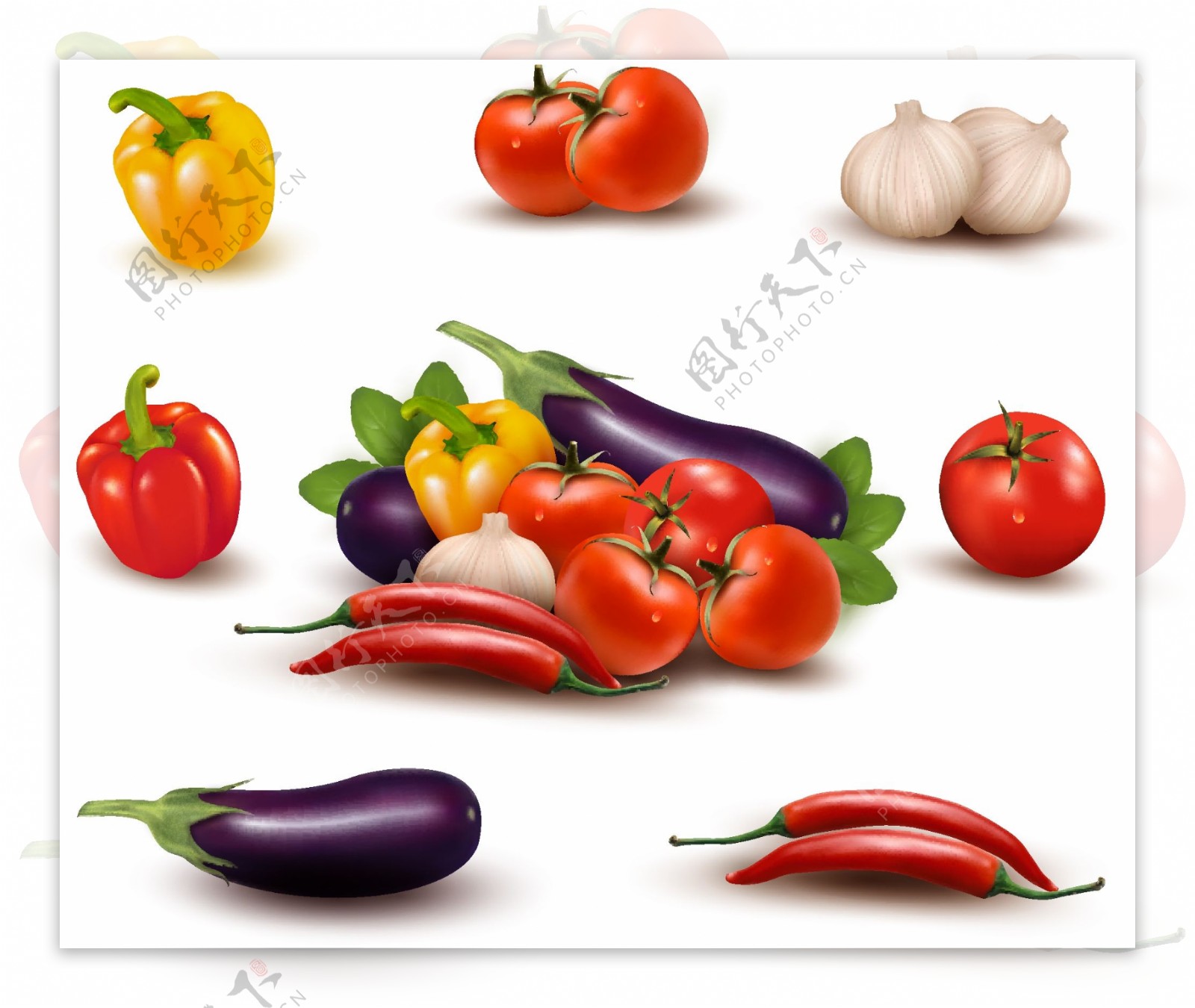 新鲜蔬菜设计矢量图