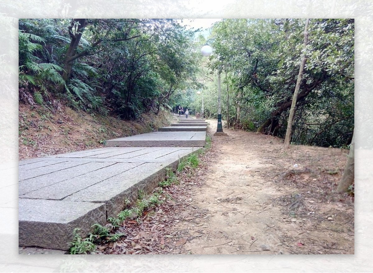 圭峰山国家森林公园小路