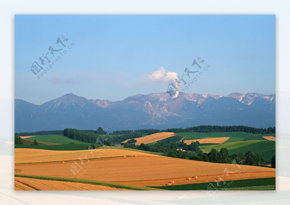 麦田风景