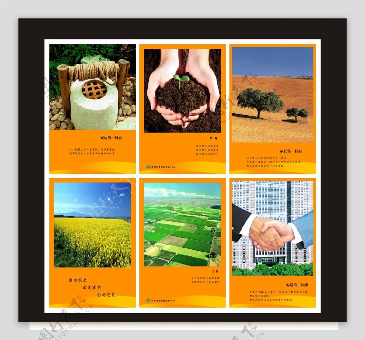 农业生物科技海报