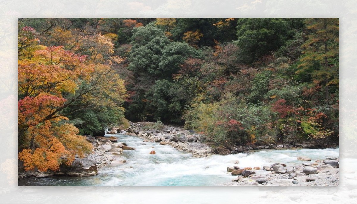 东拉山秋色红叶山