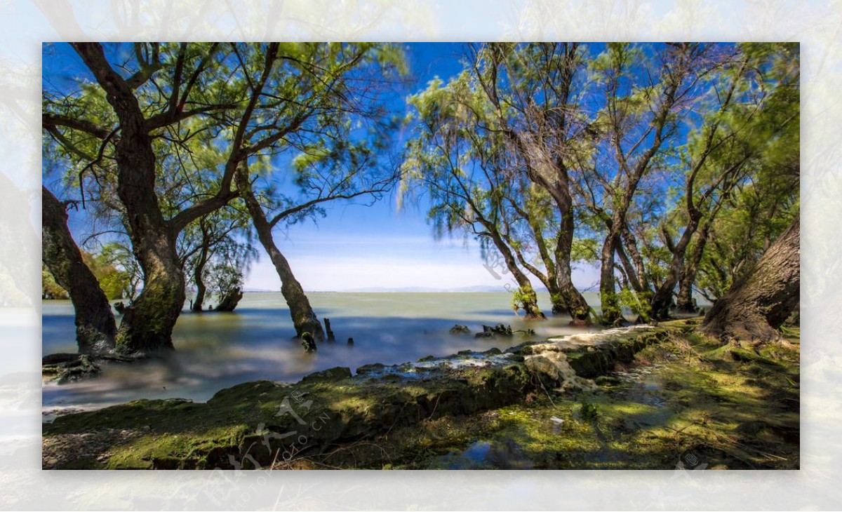 捞鱼河湿地