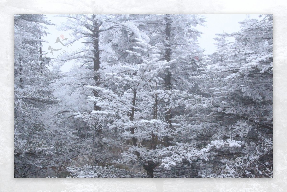 峨眉雪景