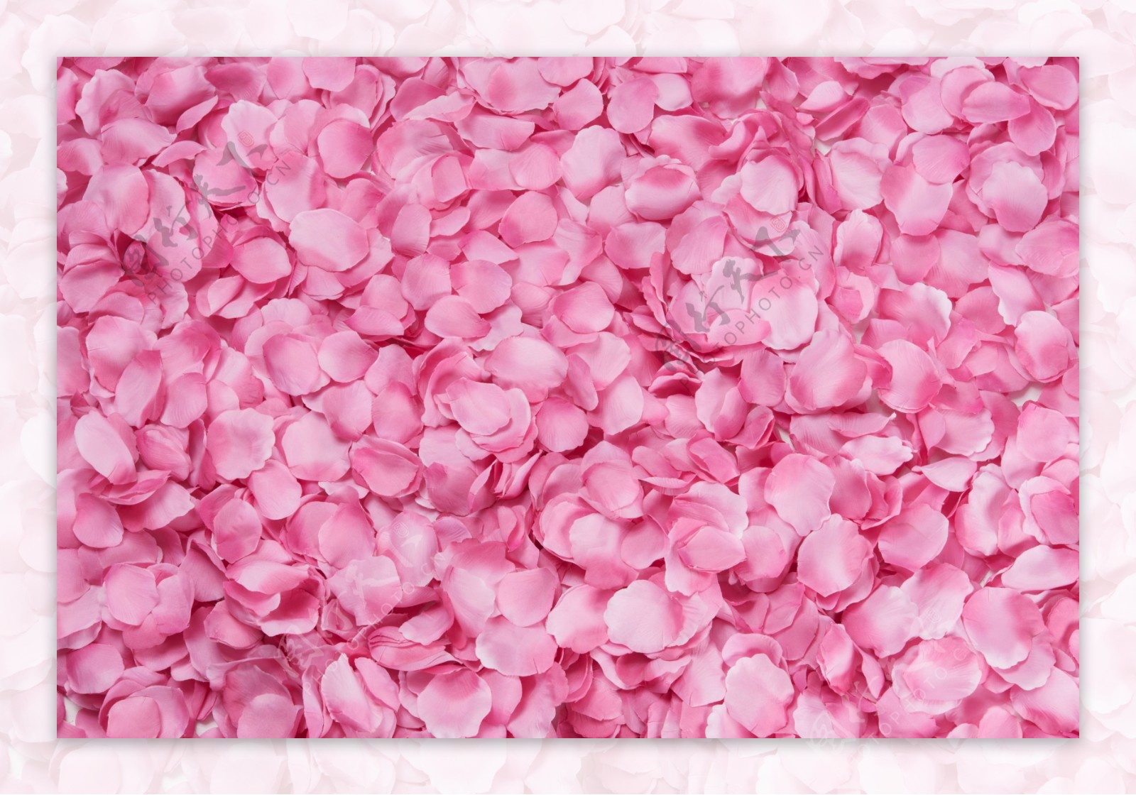 玫瑰花瓣图片素材-编号29538441-图行天下