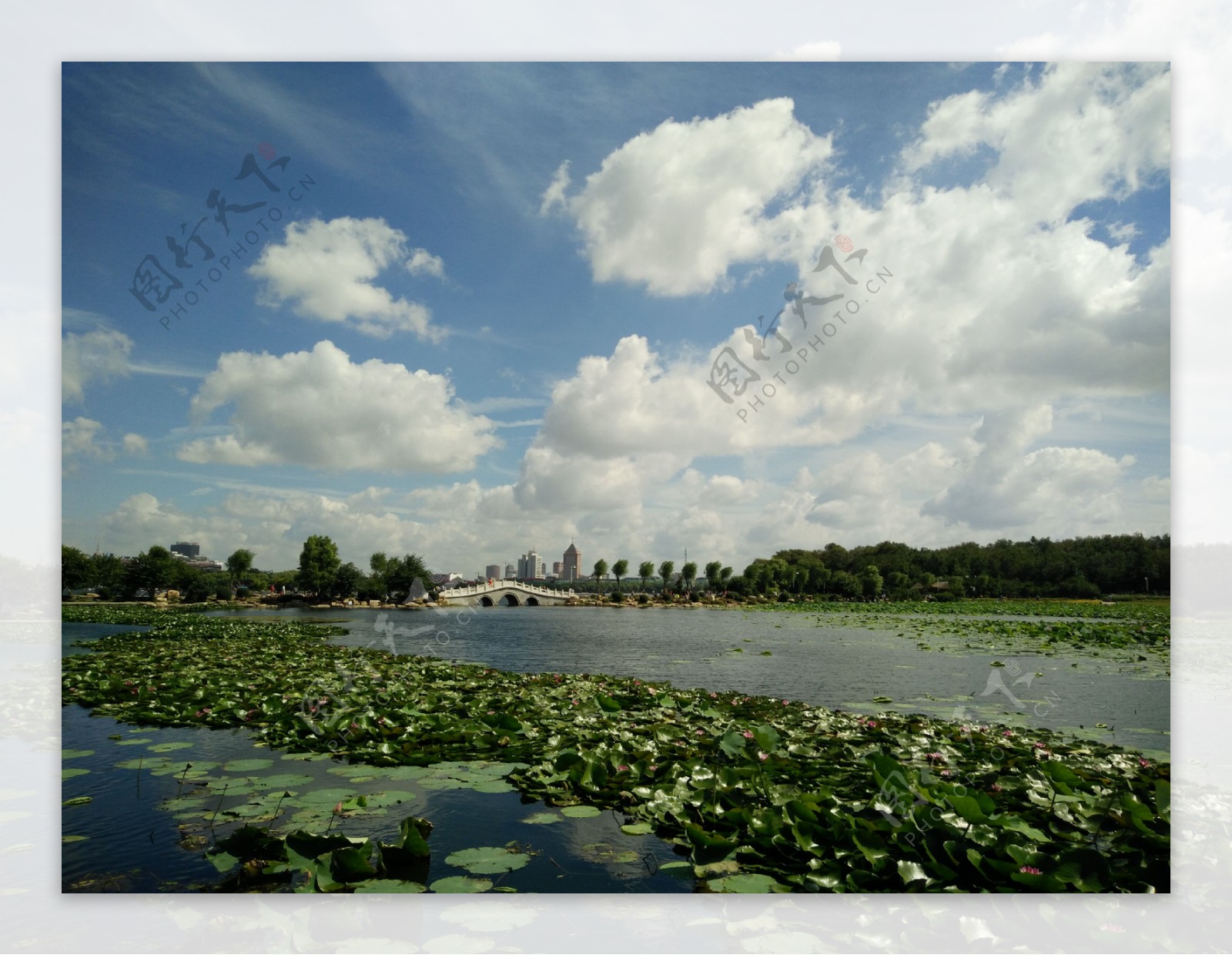 长春南湖风景图