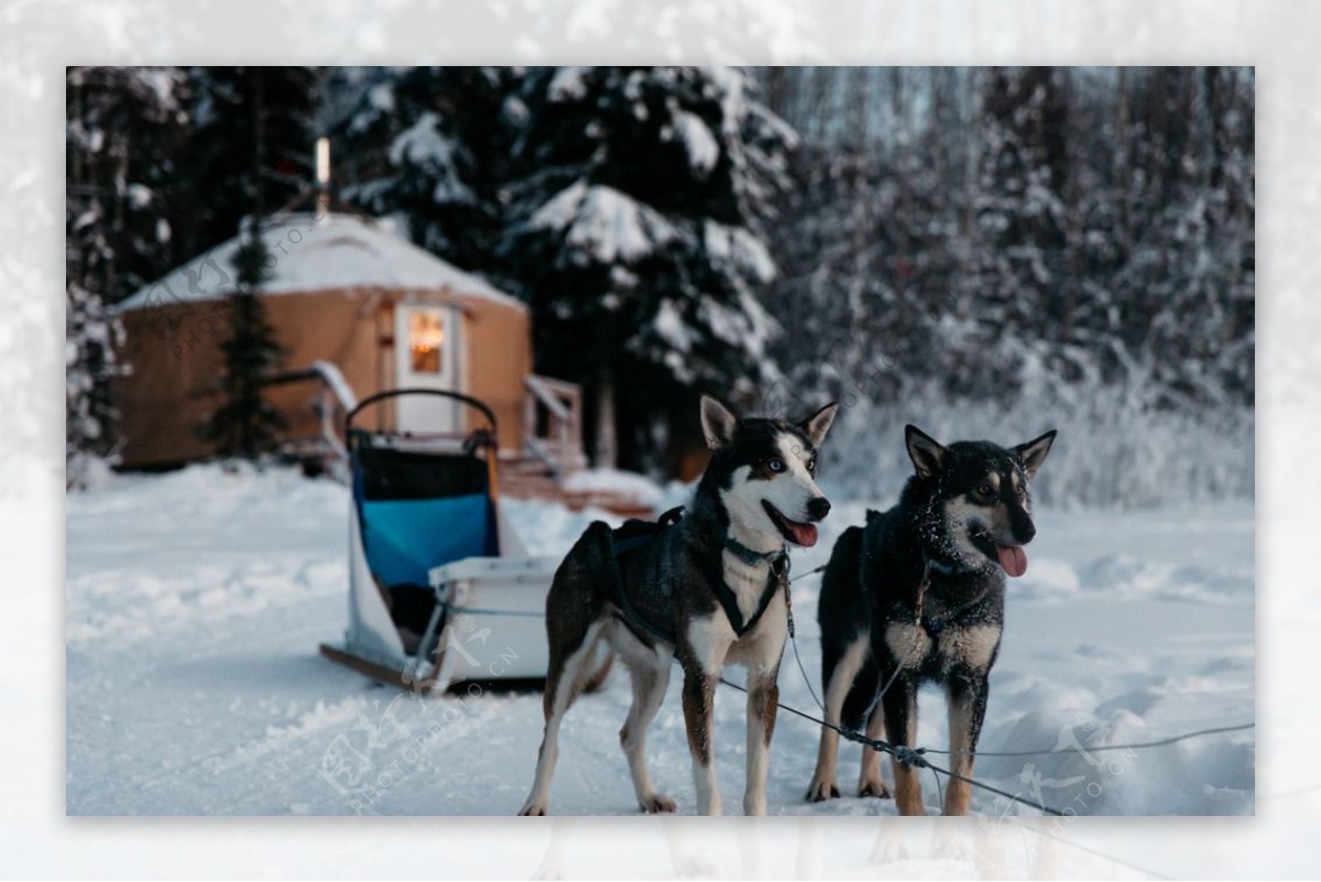 【芬兰】极光、驯鹿、冰钓、狗拉雪橇：感受最美妙的拉普兰-罗瓦涅米旅游攻略-游记-去哪儿攻略
