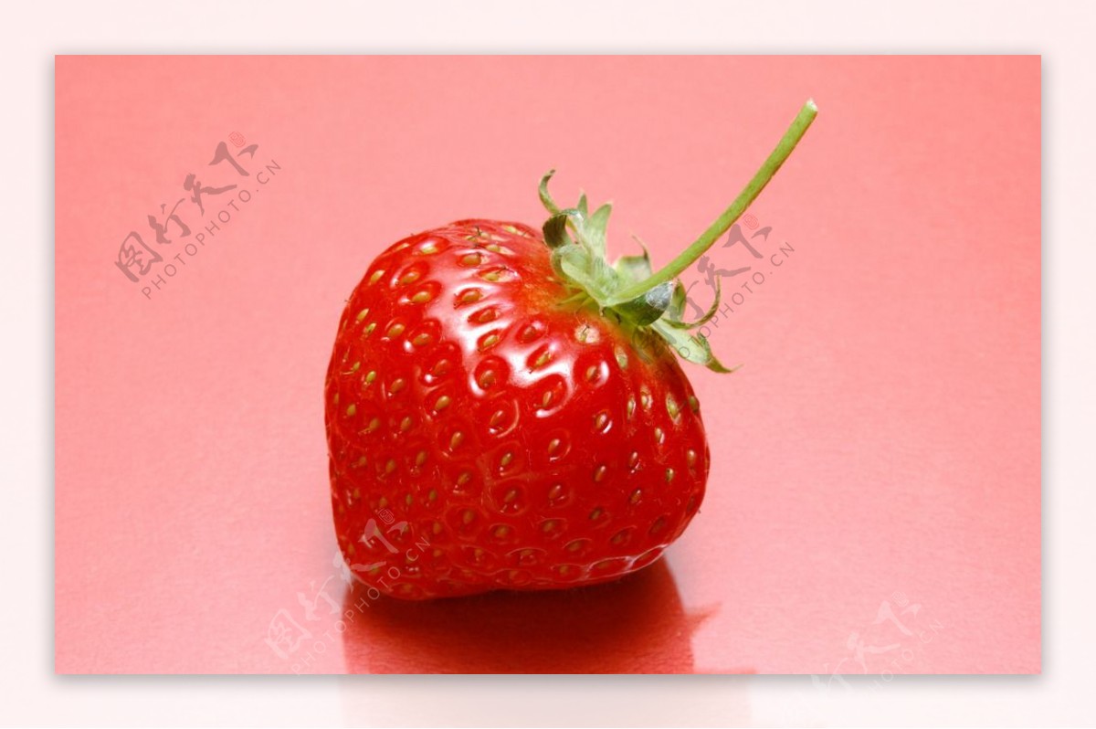 高清草莓摄影