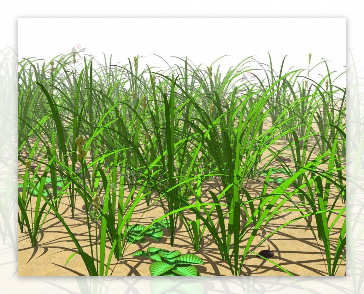 SU植物模型草丛