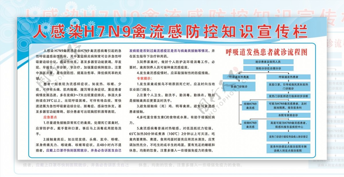 人感染H7N9禽流感防控宣传栏