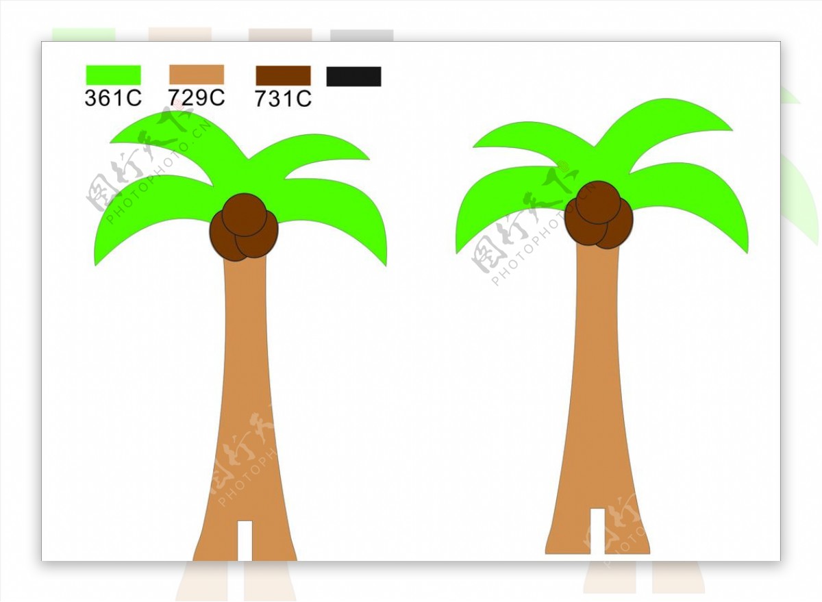 椰树森林大自然植物公园