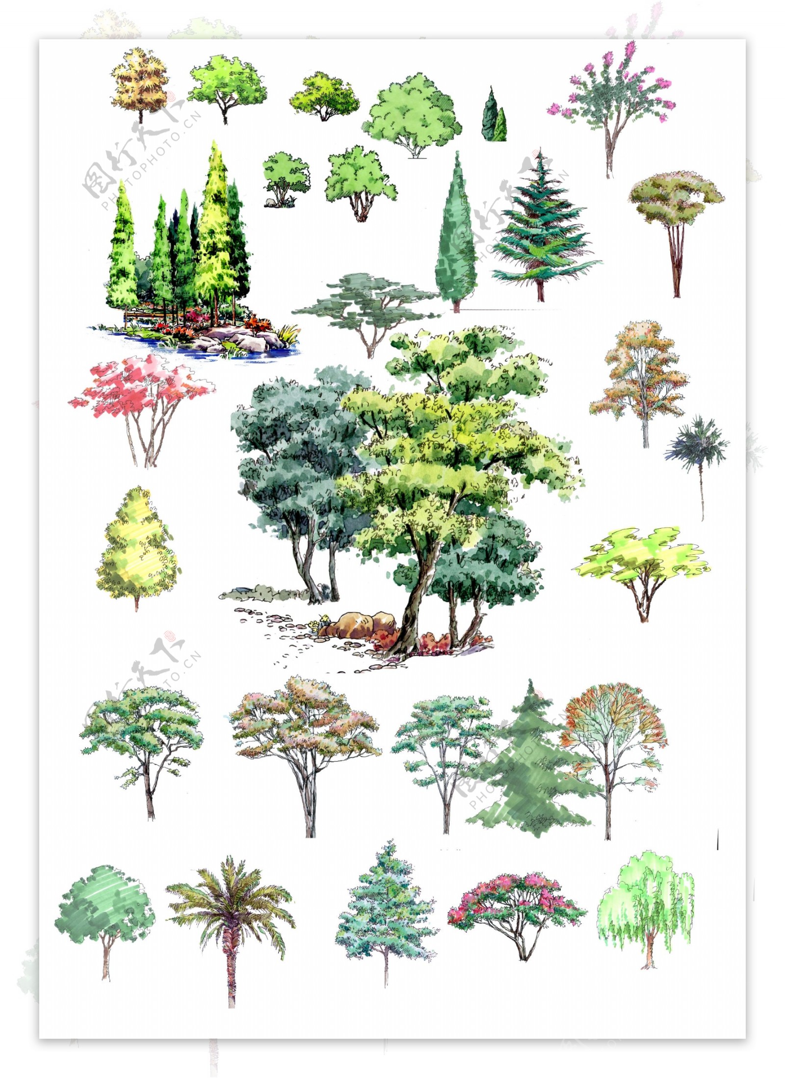 园林景观绿化效果立面图