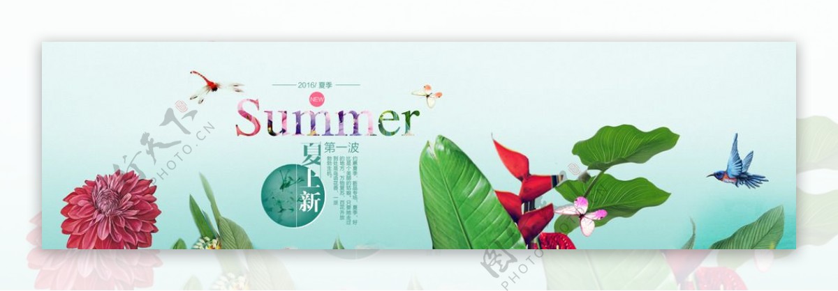 夏天banner