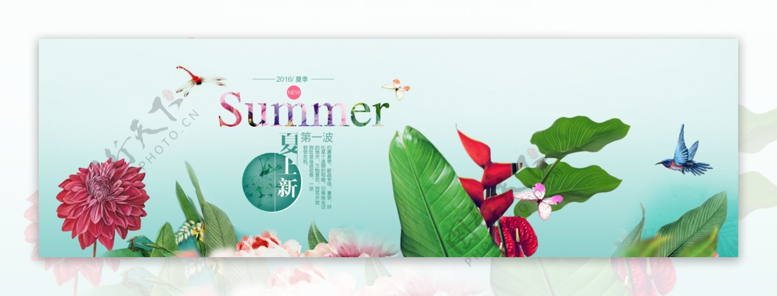 春天banner