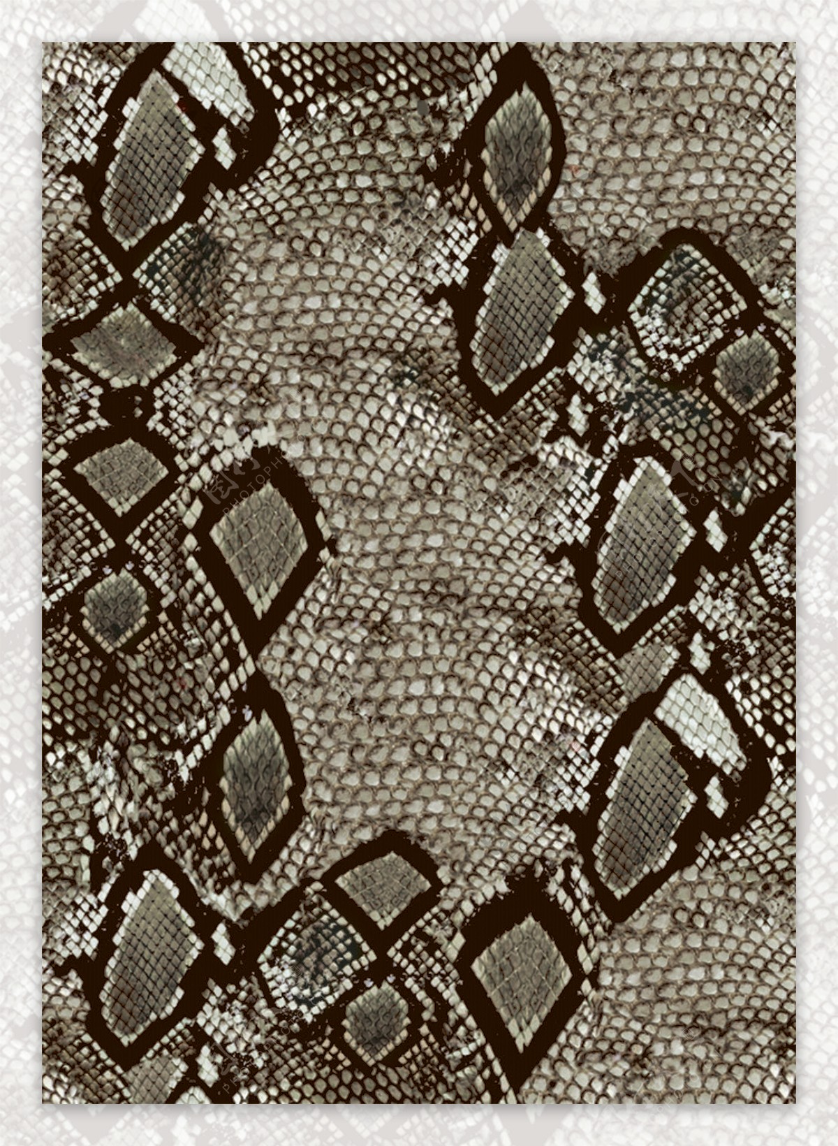 蛇皮纹鳄鱼纹抽象