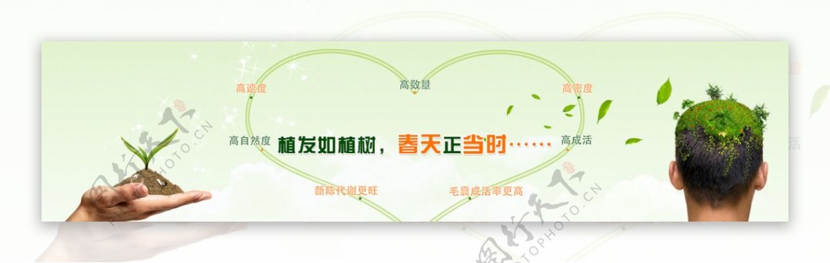 植发绿色banner