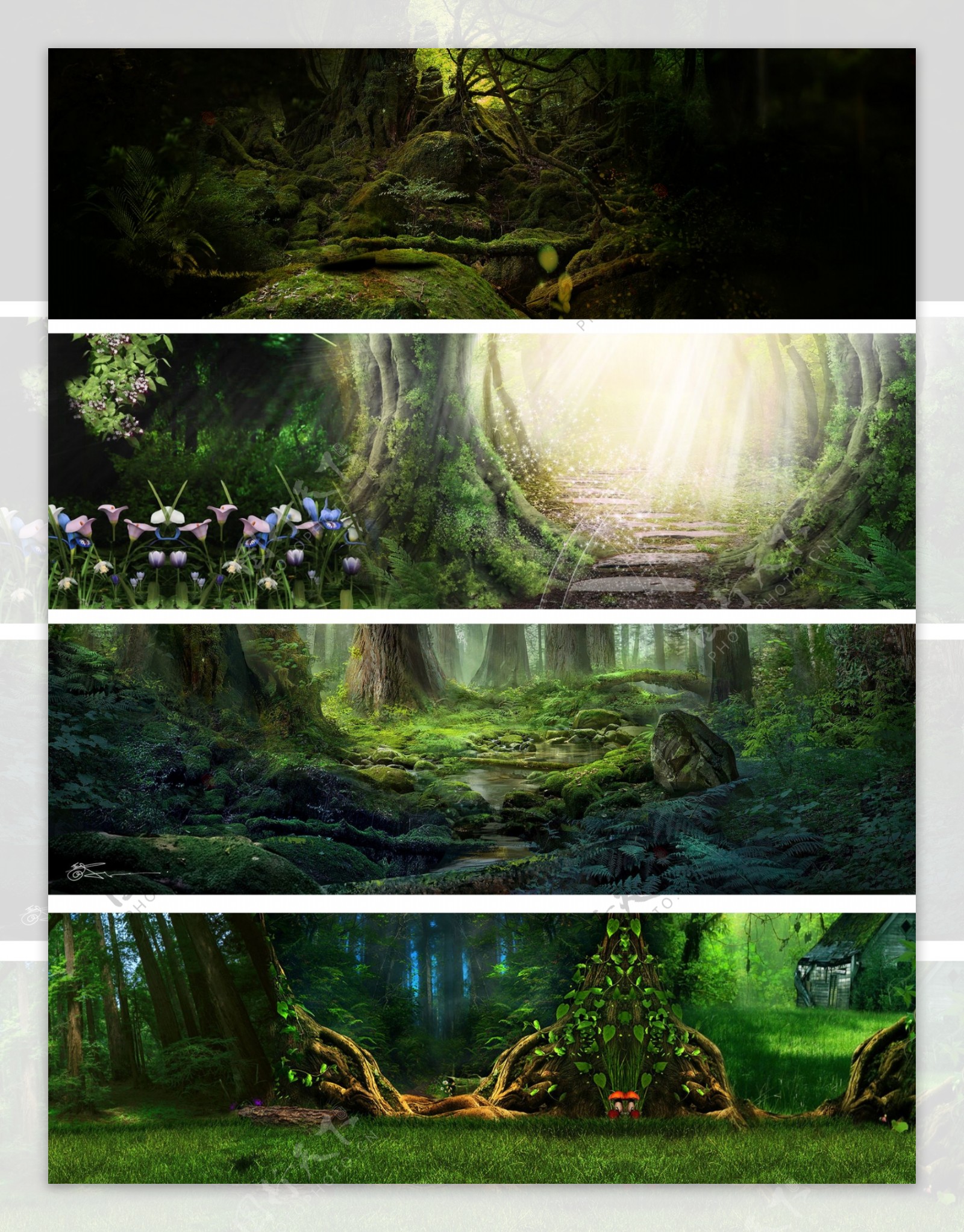 淘宝绿色森林背景下载