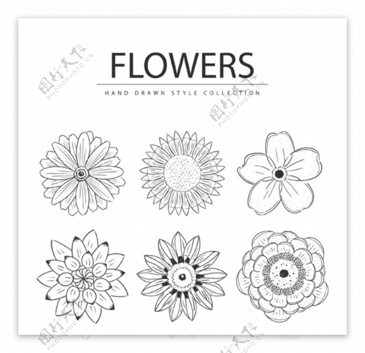 黑白线稿春季花朵元素