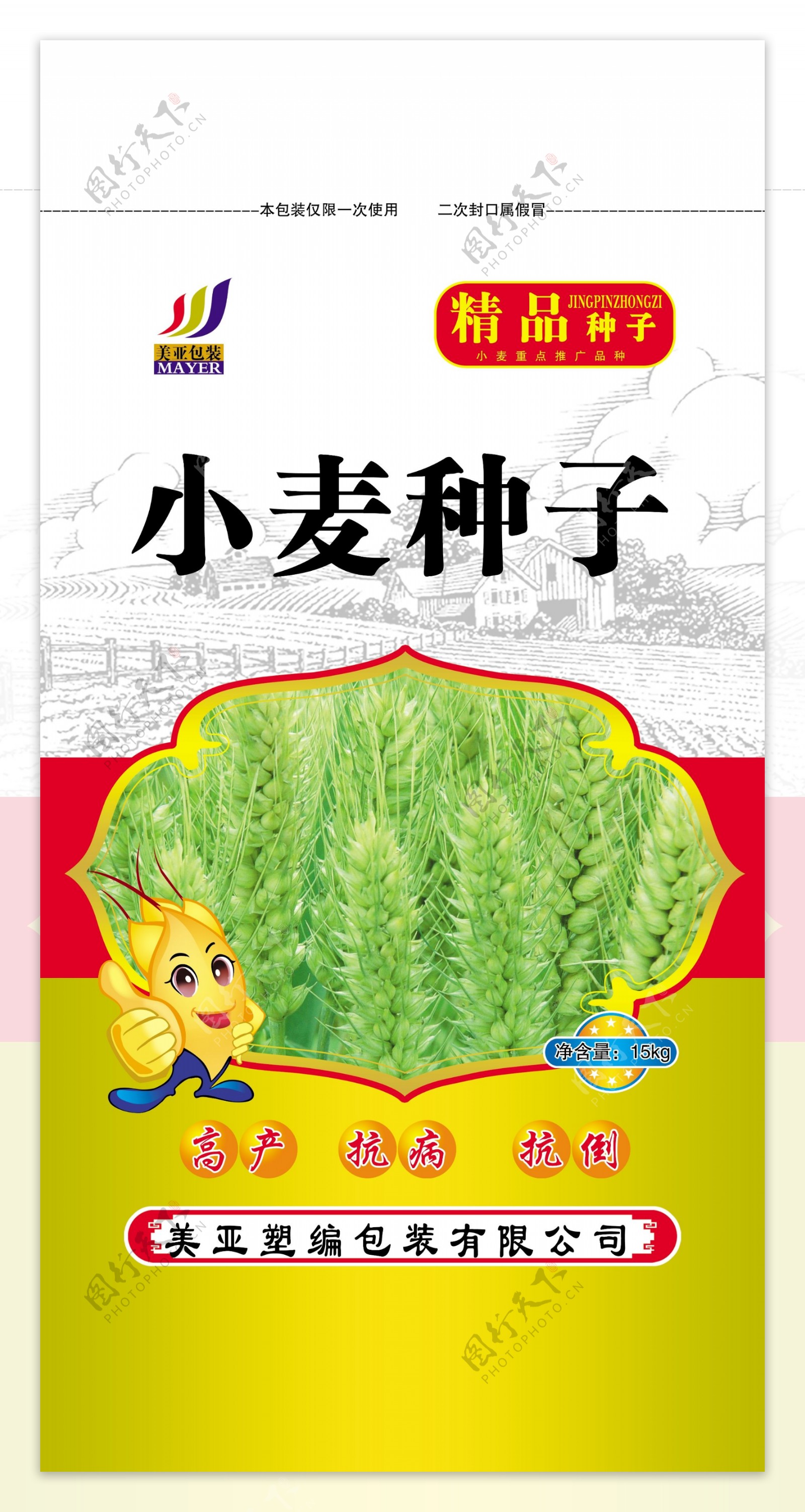 小麦种子