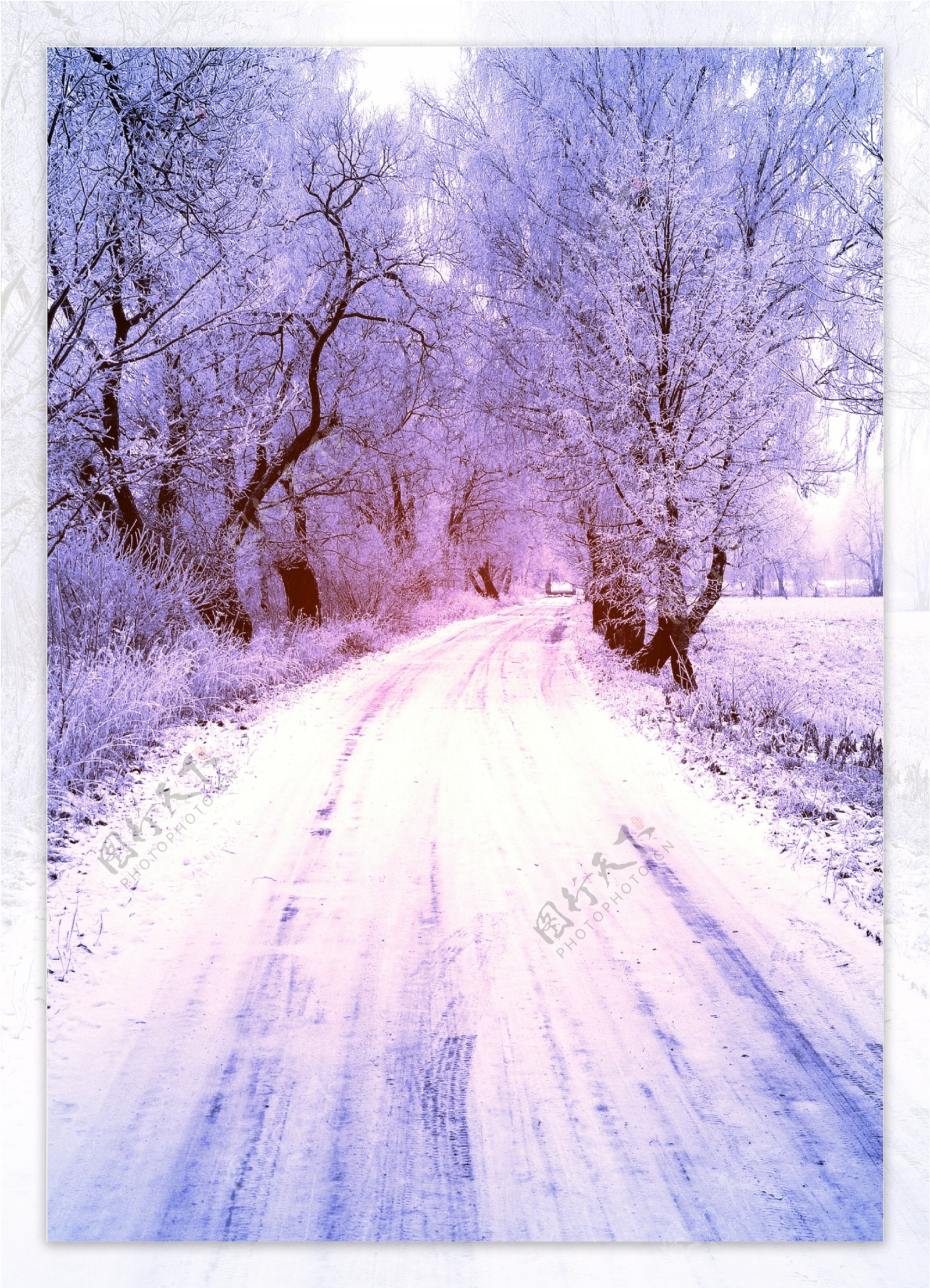 冬天公路雪景图片