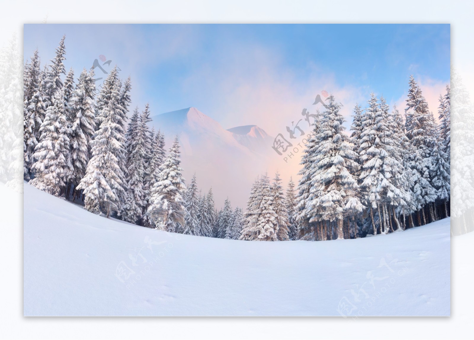 美丽冬天雪地风景图片