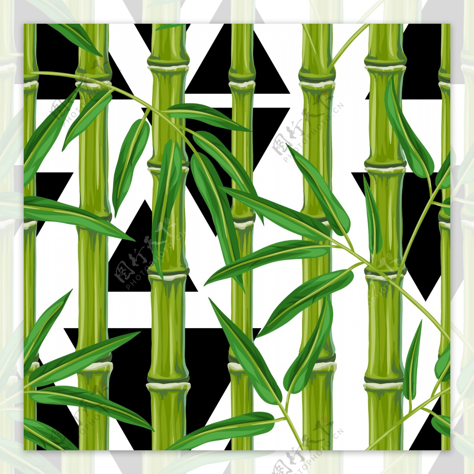 翠绿竹子植物背景