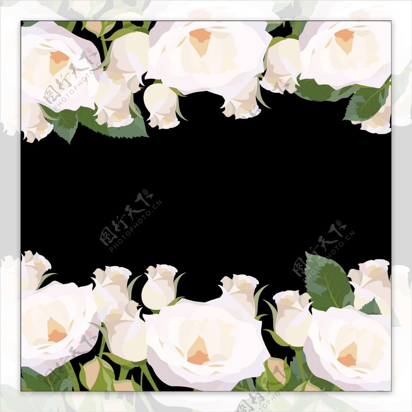 白色玫瑰花边免抠png透明图层素材