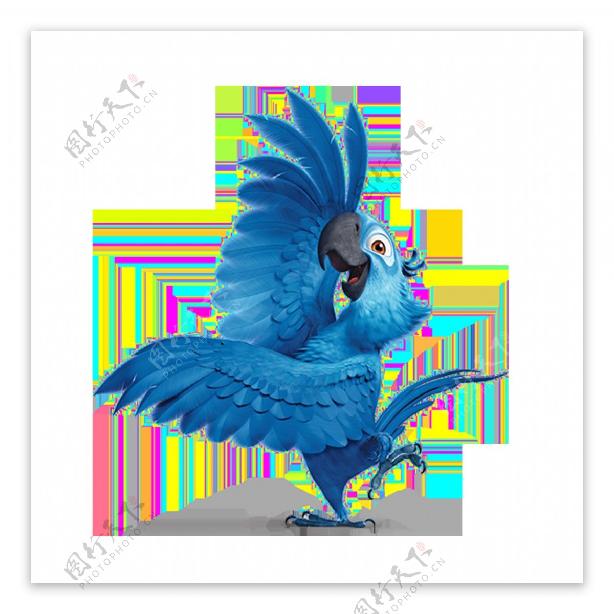 蓝色鹦鹉跳舞元素