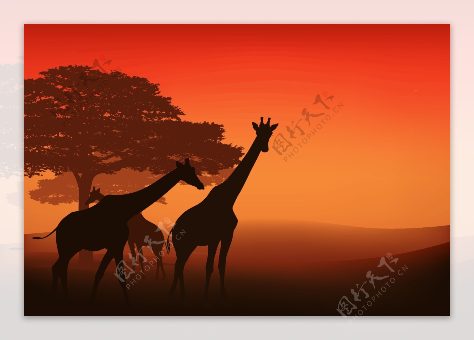 非洲草原上的动物插画