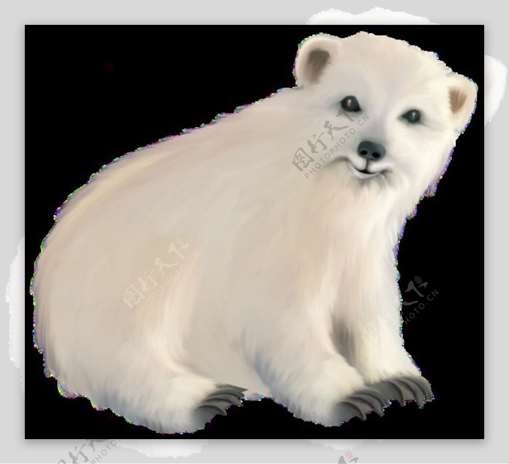白色北极熊宝宝免抠png透明图层素材