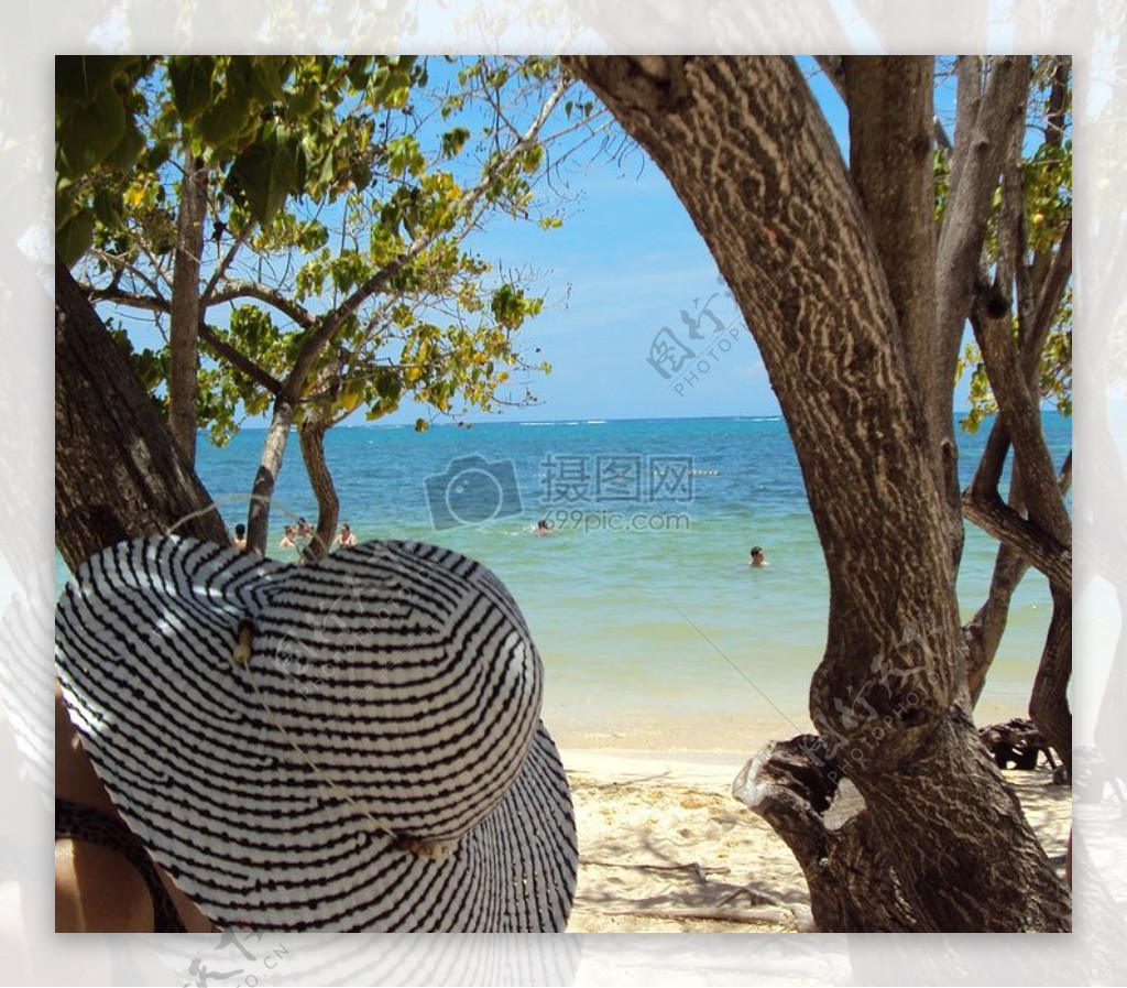 沙滩沙水蓝色树木加勒比海