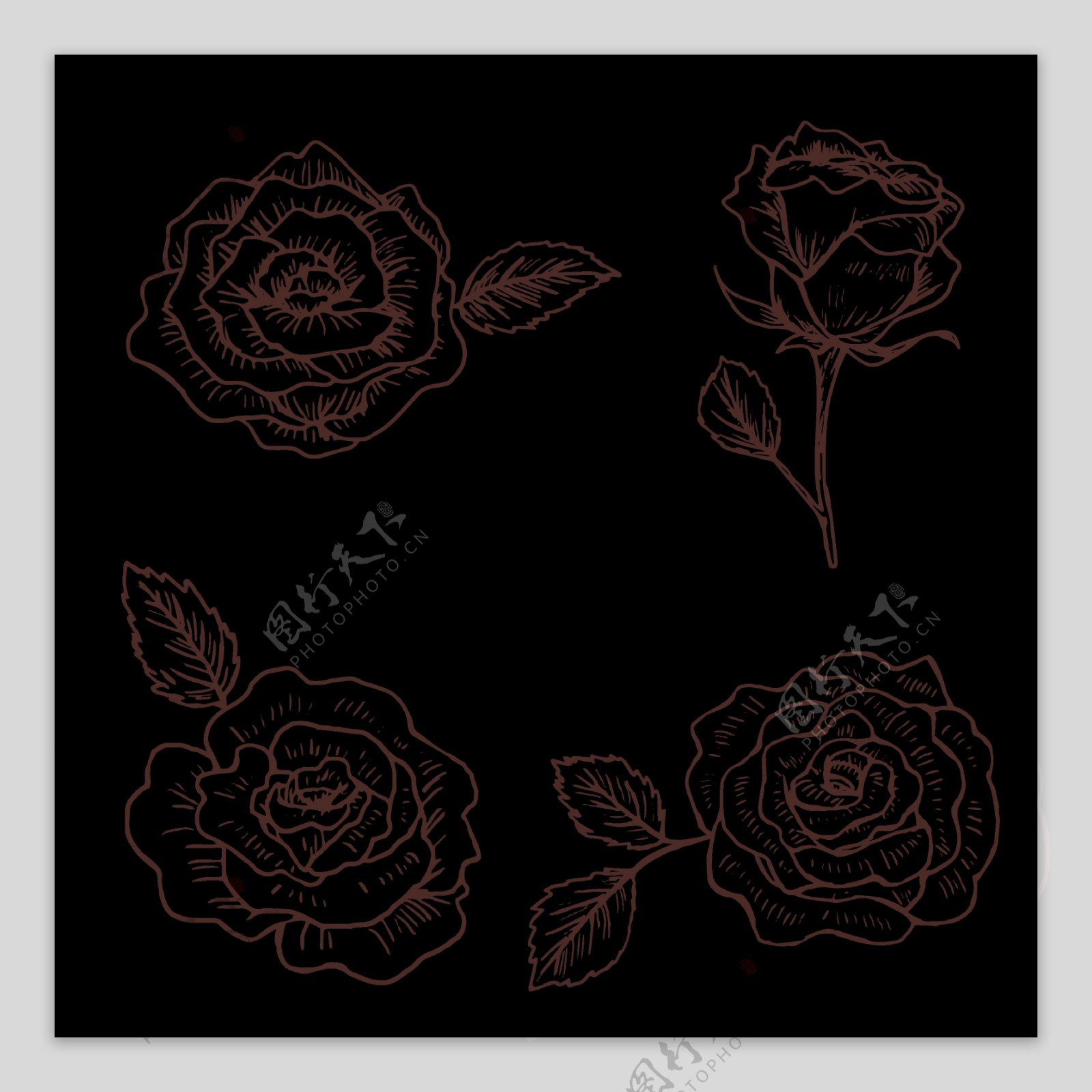 素描风格玫瑰花插画免抠png透明图层素材
