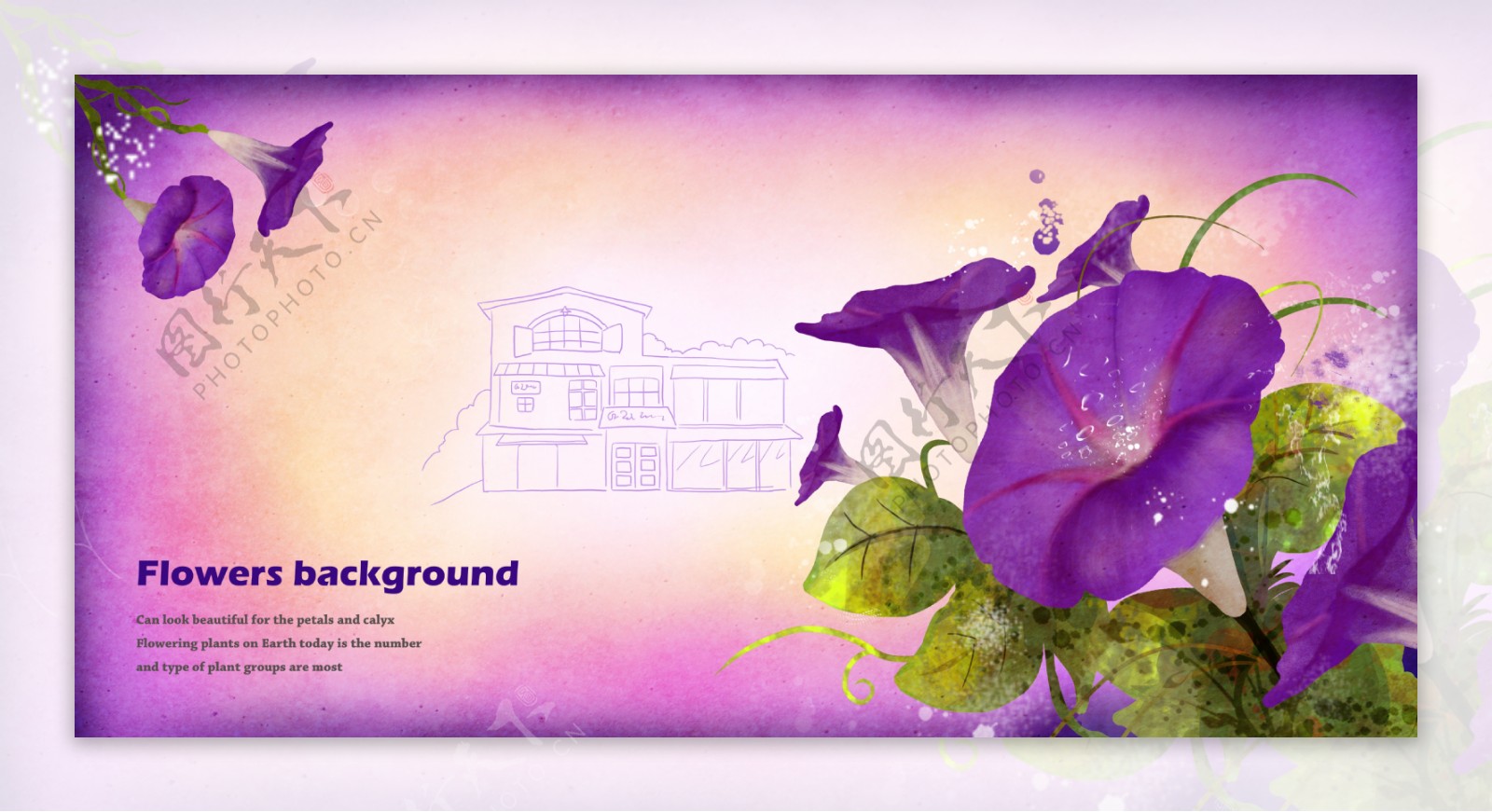紫色系手绘花朵明信片