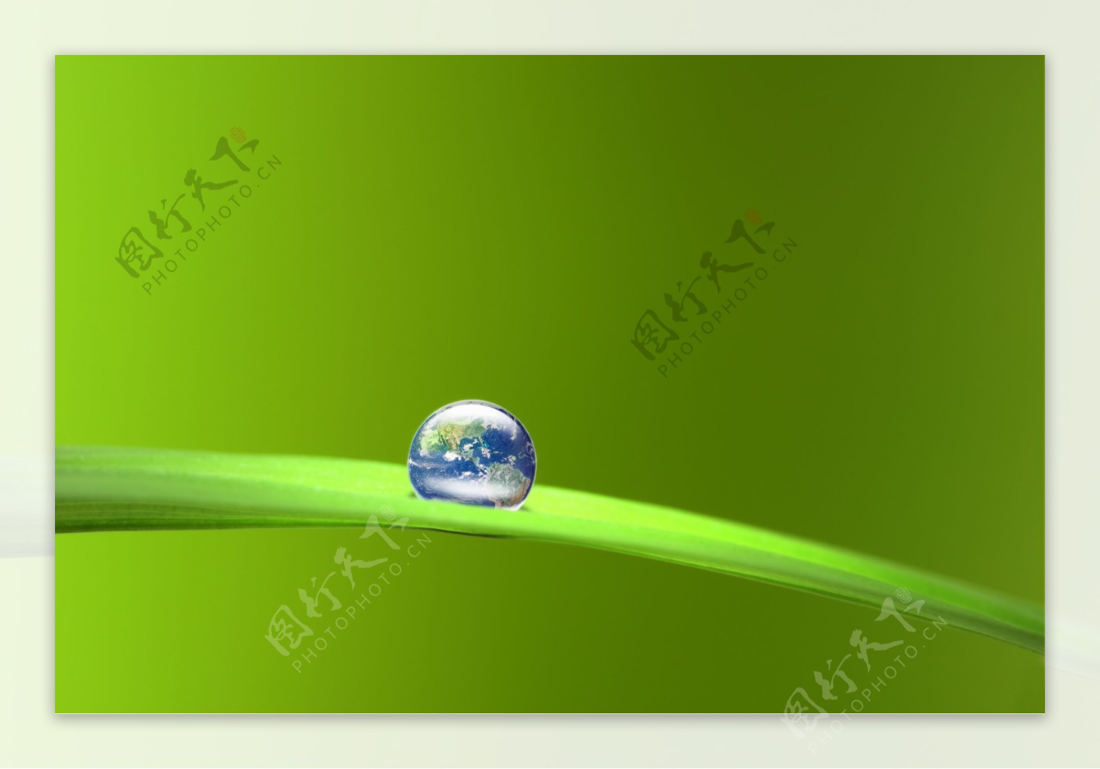 绿叶上的地球水滴图片