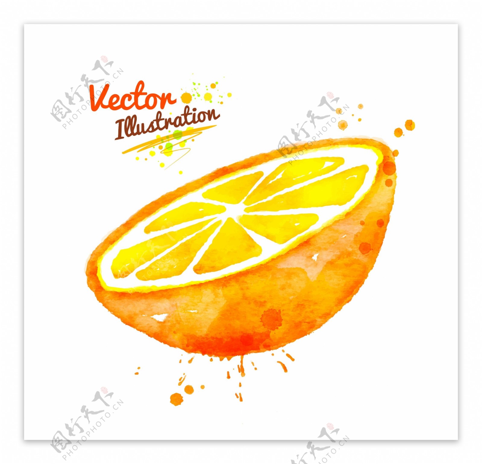 半颗橙子创意喷溅水彩墨迹玉米蔬菜矢量