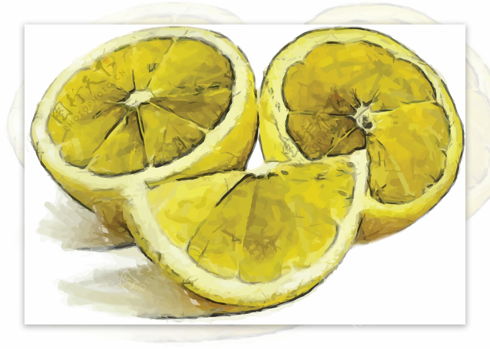 手绘柠檬图案图片
