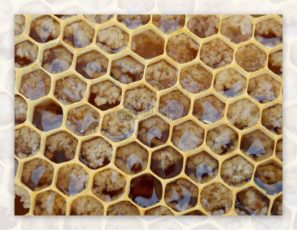 盛满蜂蜜的蜂巢