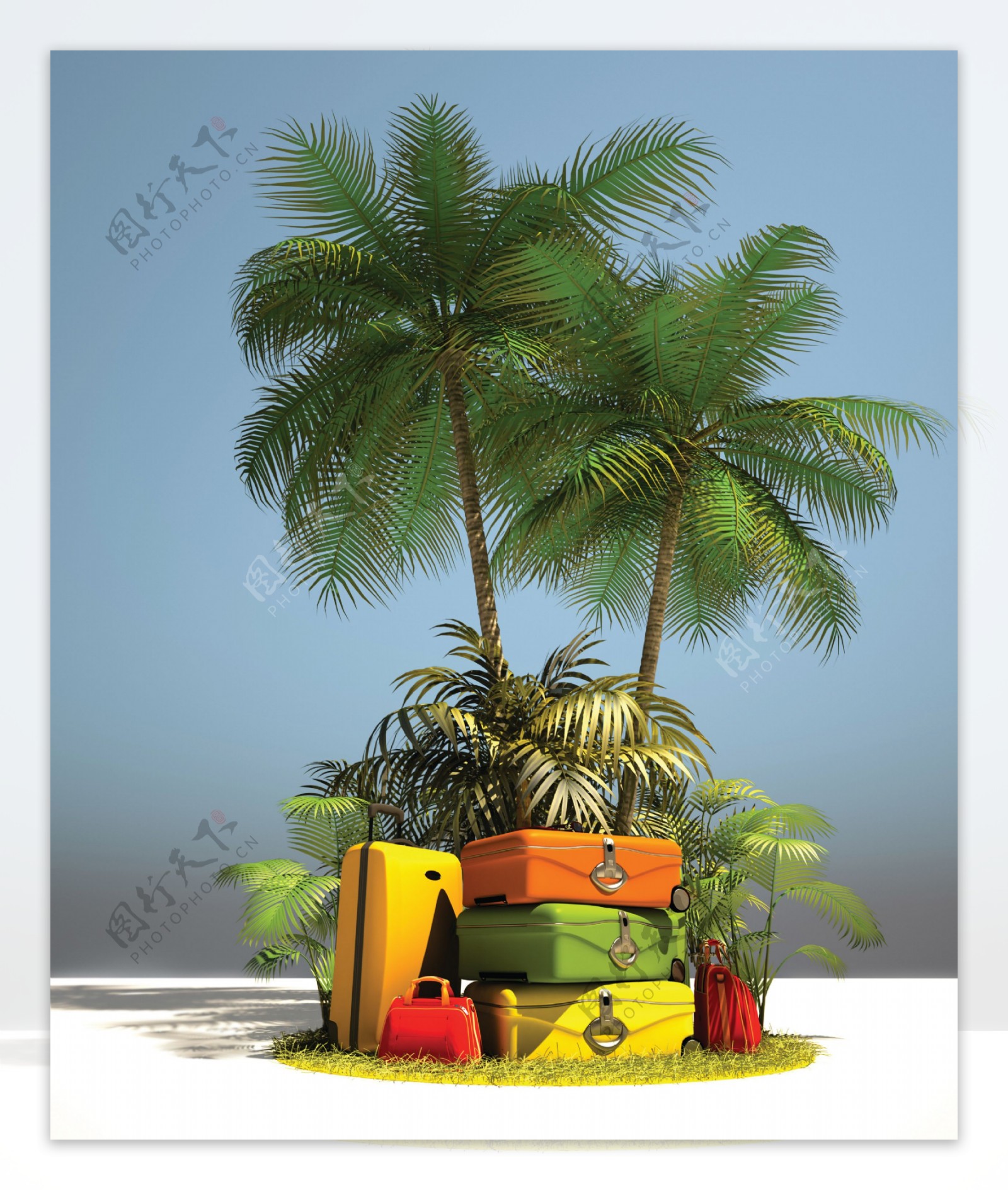 椰树与旅行箱图片