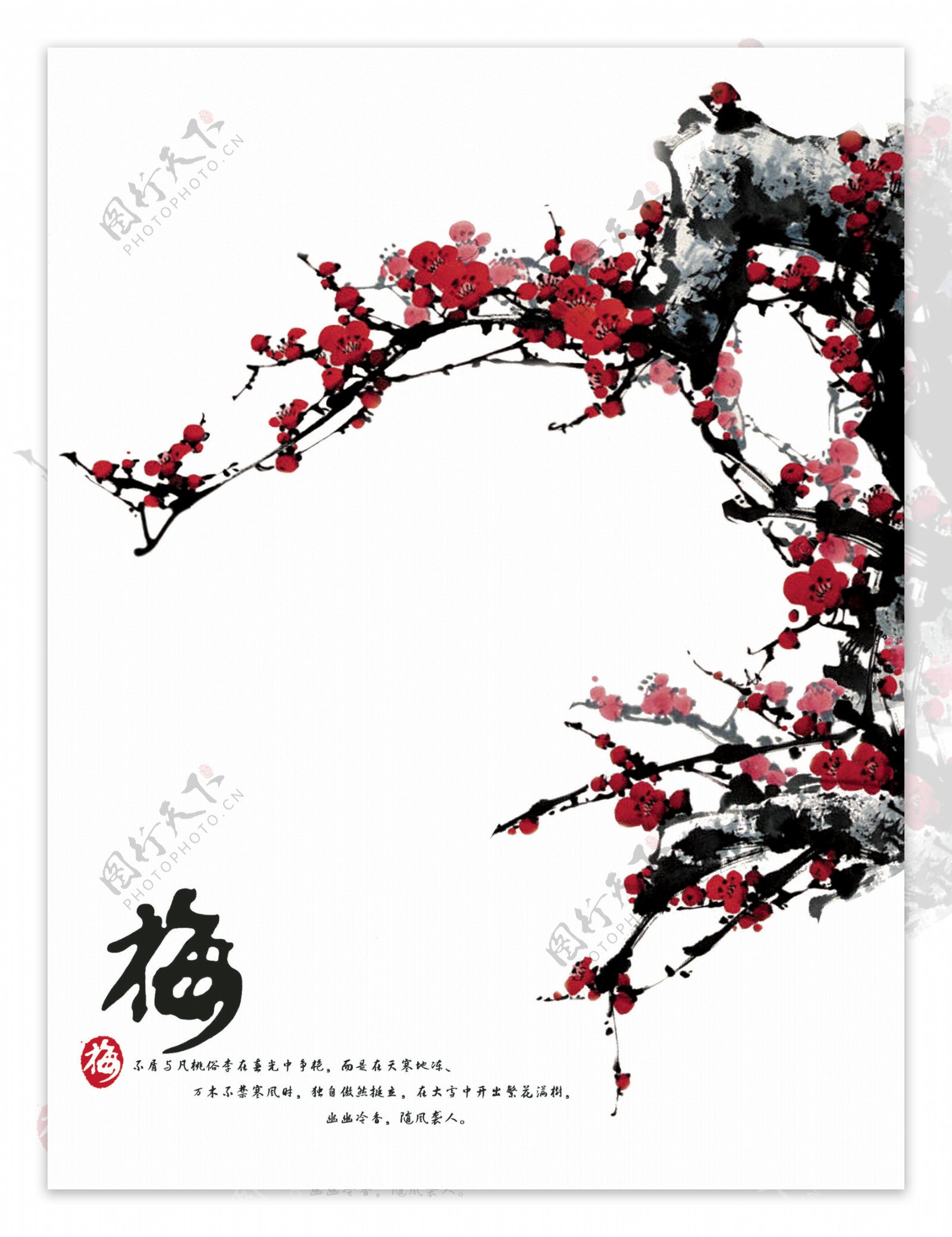 中国画梅花图片